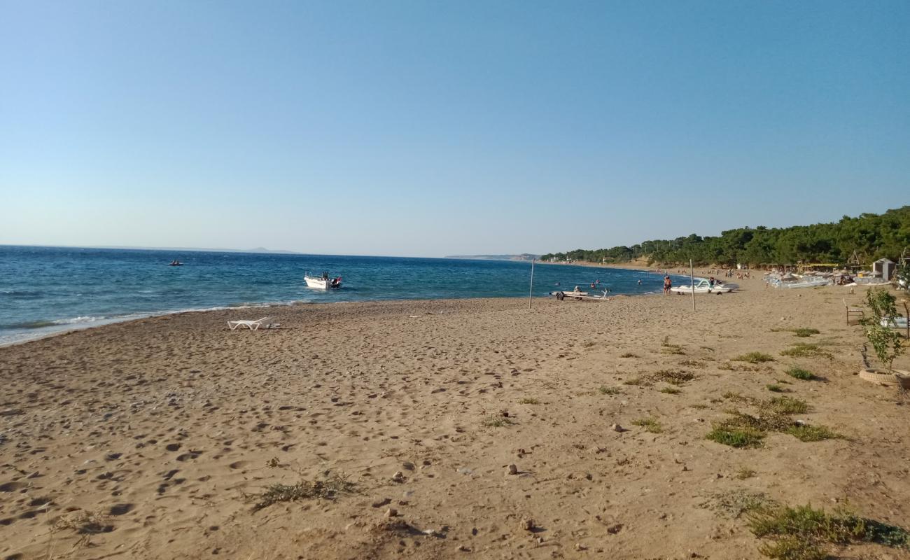 Camlik Camp beach'in fotoğrafı parlak kum yüzey ile