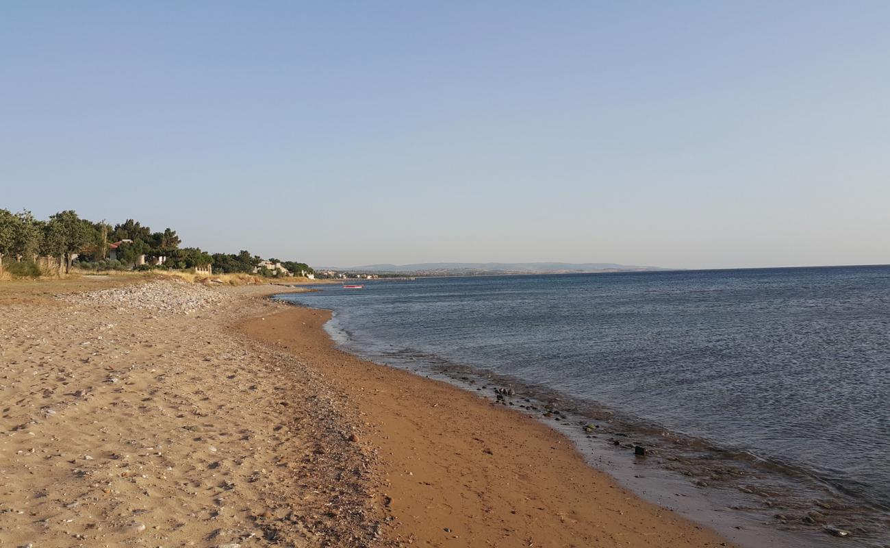 Agora Camp beach'in fotoğrafı çakıl ile kum yüzey ile