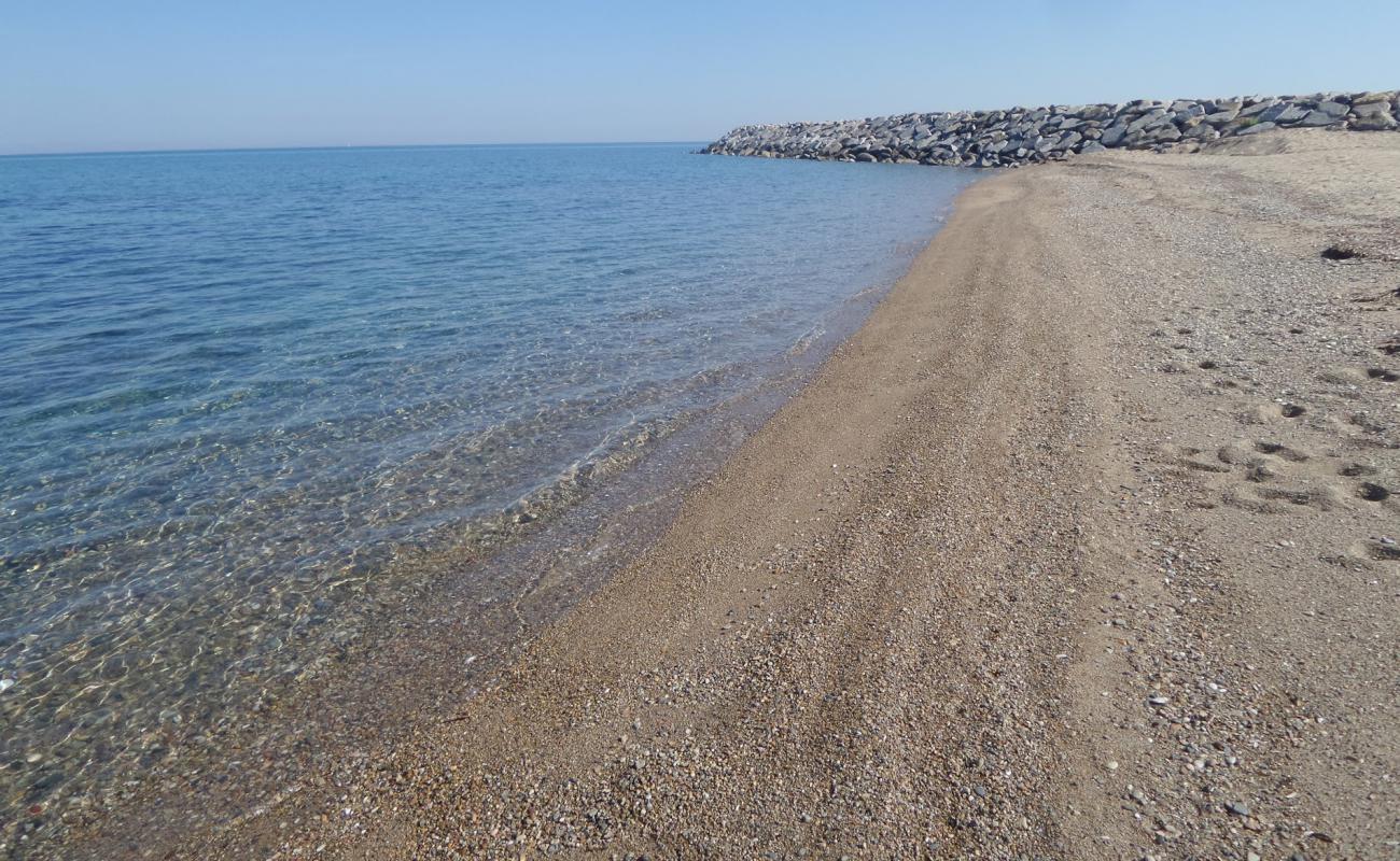 Dalyan Marina beach'in fotoğrafı çakıl ile kum yüzey ile