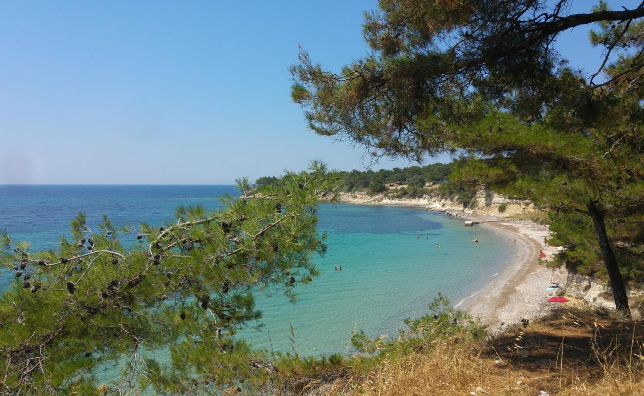 Taskapı Plajı'in fotoğrafı çakıl ile kum yüzey ile