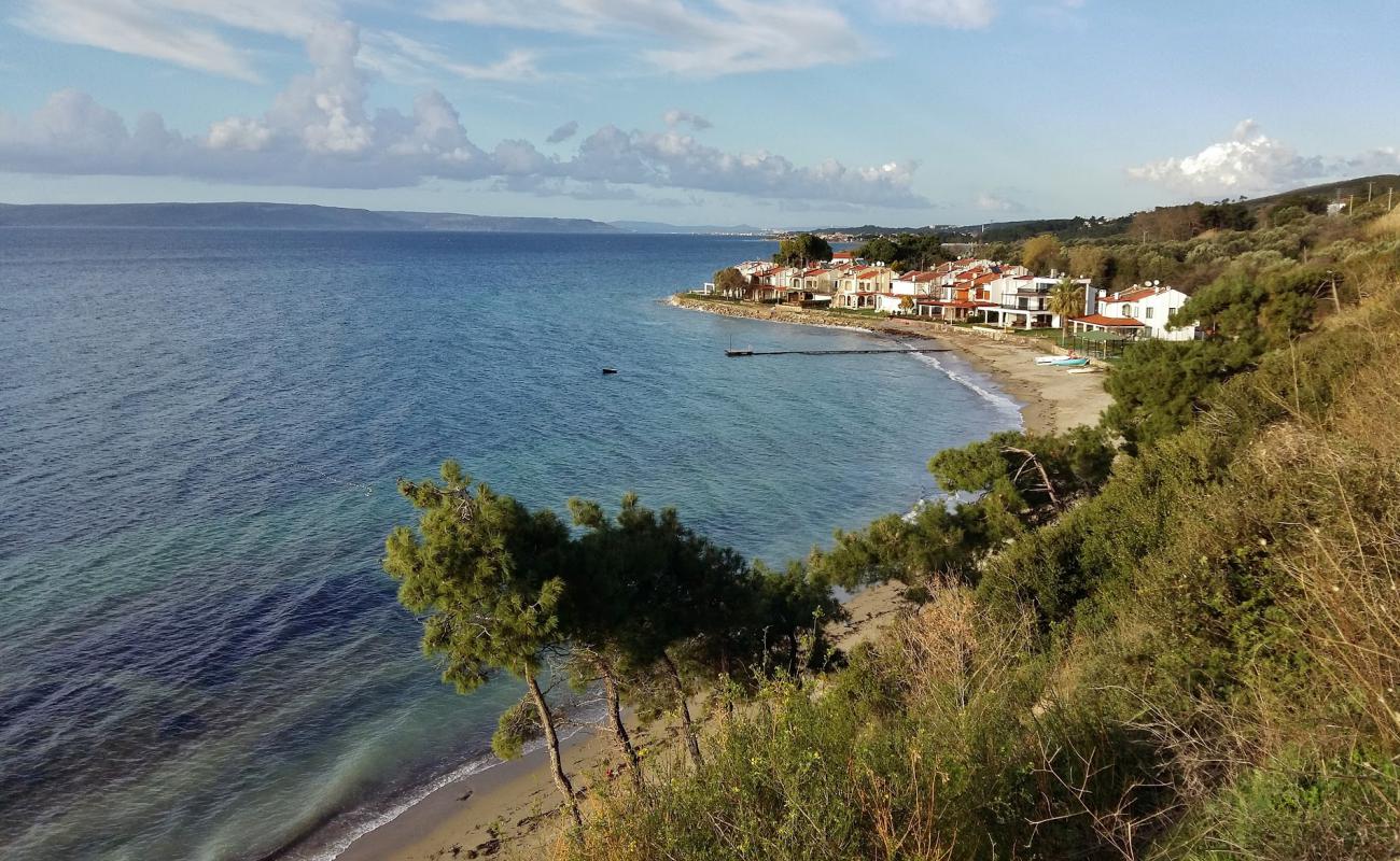 Landscape beach'in fotoğrafı parlak kum yüzey ile