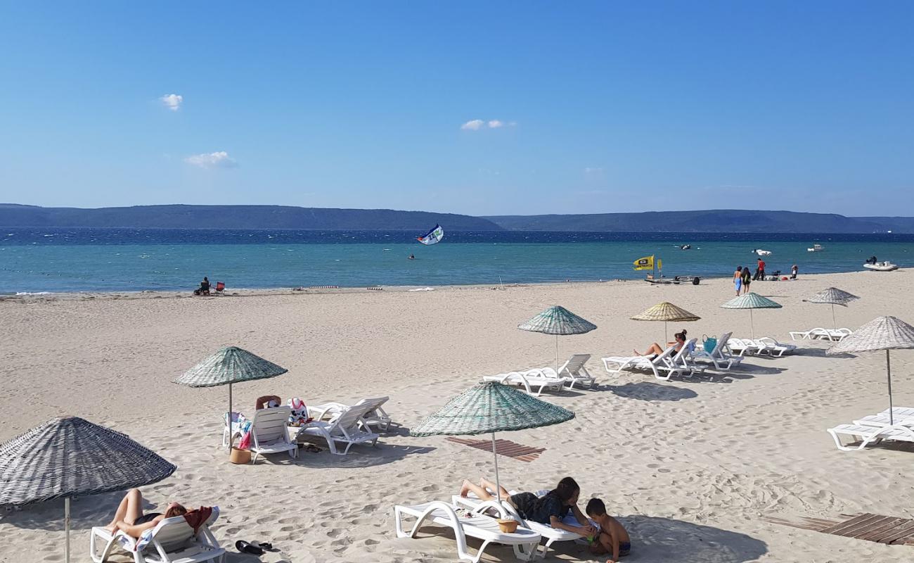 Çanakkale halk Plajı II'in fotoğrafı parlak ince kum yüzey ile