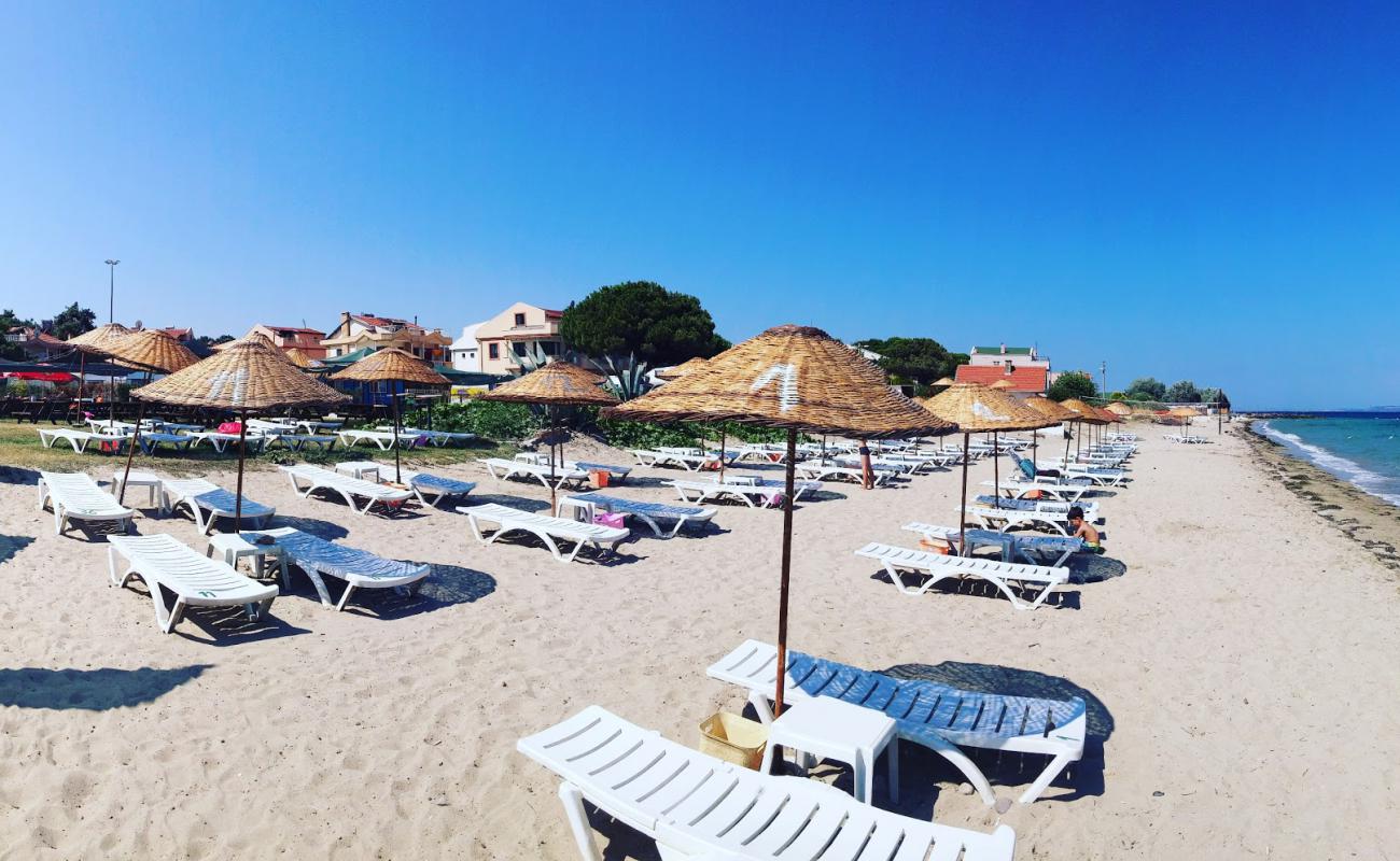 Etap Altinel Hotel beach'in fotoğrafı parlak kum yüzey ile