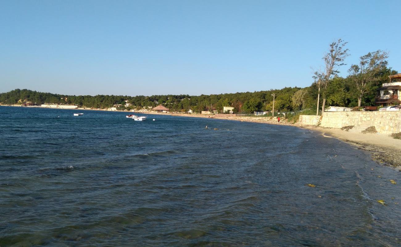 Pamira park beach'in fotoğrafı çakıl ile kum yüzey ile