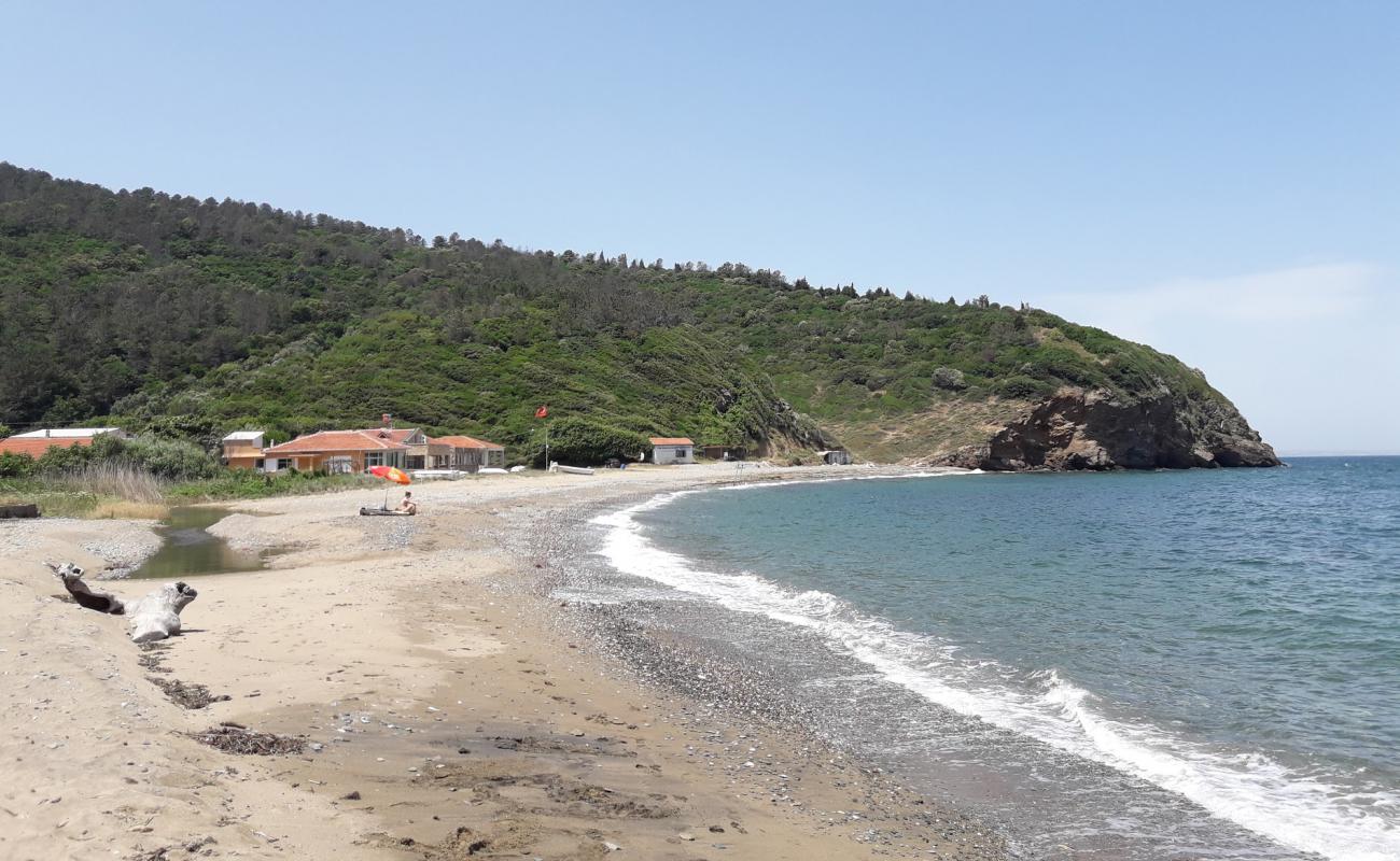 Güreci Plajı'in fotoğrafı çakıl ile kum yüzey ile