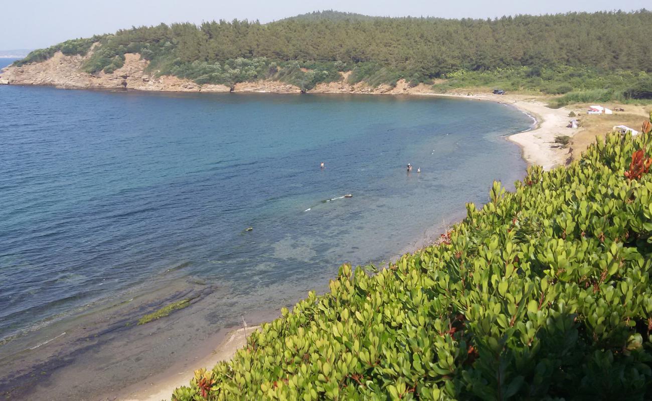 Tripce beach'in fotoğrafı çakıl ile kum yüzey ile