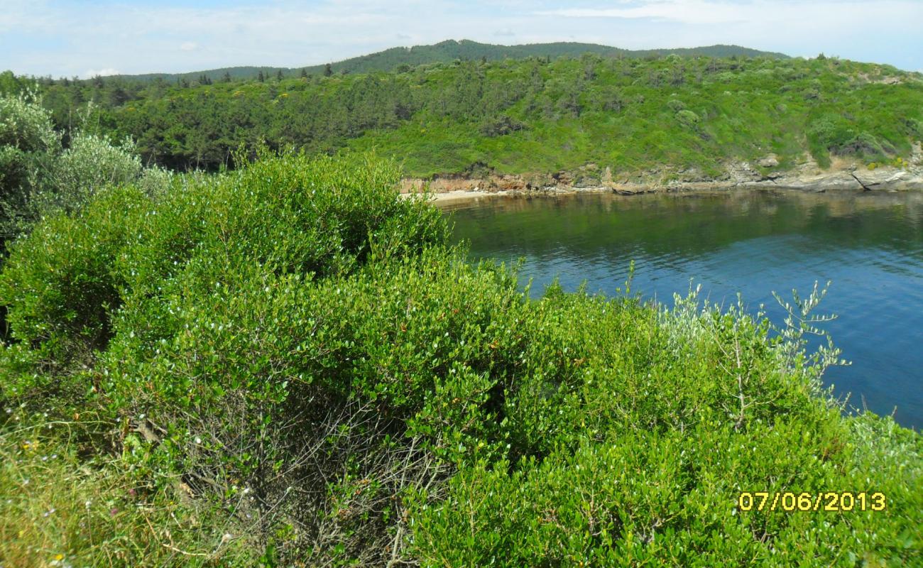 Tripce beach II'in fotoğrafı çakıl ile kum yüzey ile