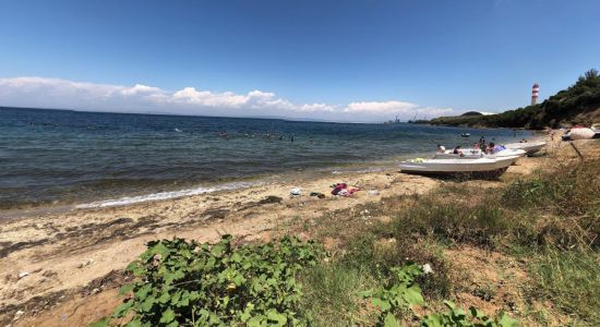 Bekirli wild beach III