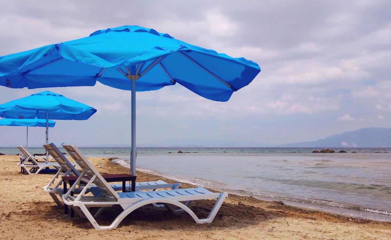 Sirincavus beach'in fotoğrafı parlak kum yüzey ile