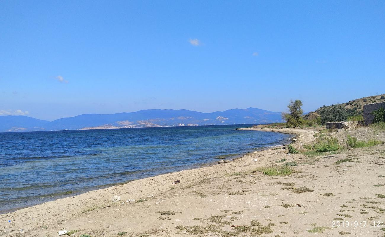 Hıdırkoy Plajı'in fotoğrafı parlak kum yüzey ile