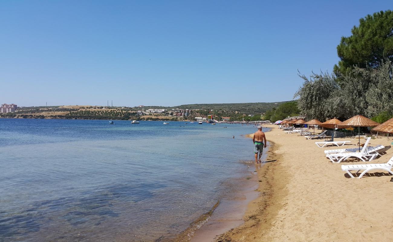 Erdek beach II'in fotoğrafı parlak kum yüzey ile