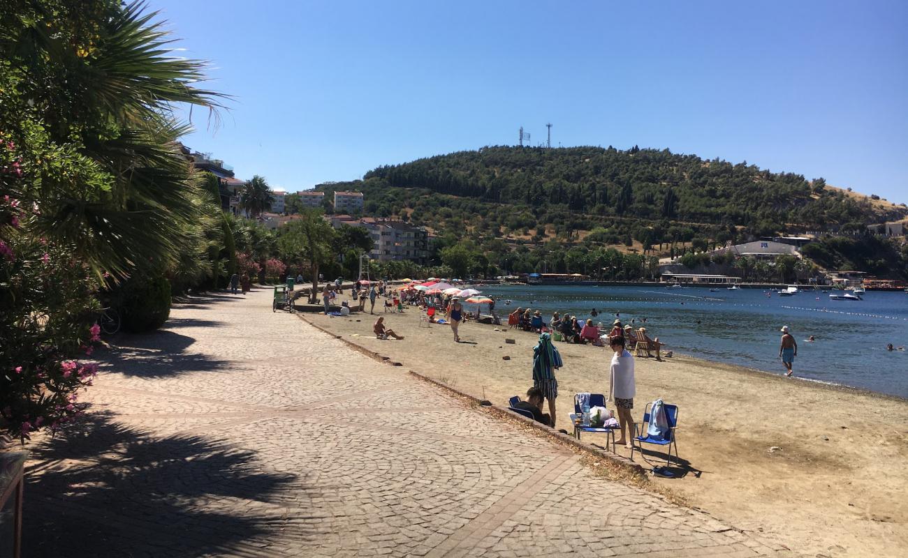 Frogli beach'in fotoğrafı gri ince çakıl taş yüzey ile