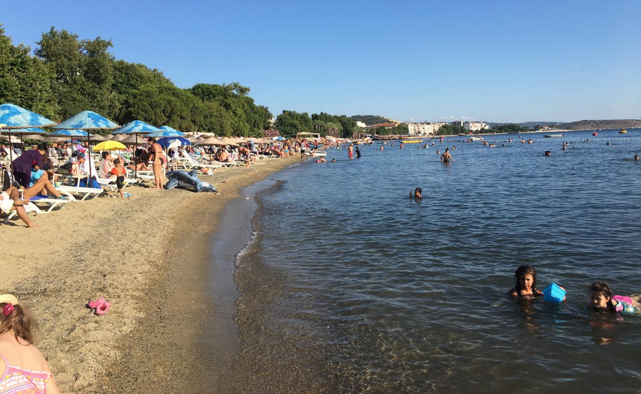 Erdek Plajı'in fotoğrafı parlak kum yüzey ile