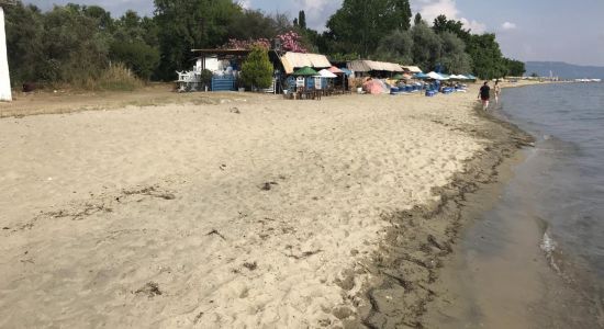 Cınaraltı Plajı