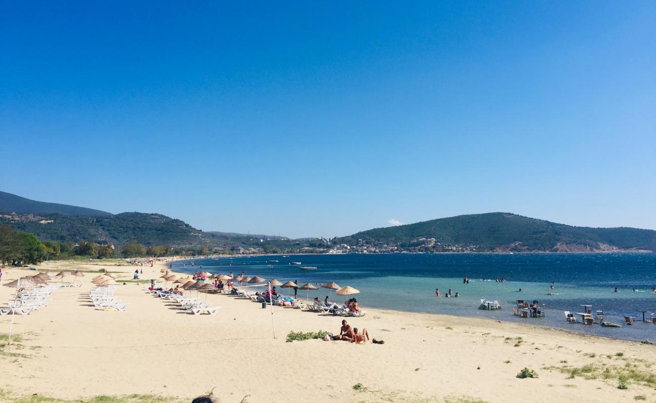 Ocaklar beach'in fotoğrafı parlak kum yüzey ile