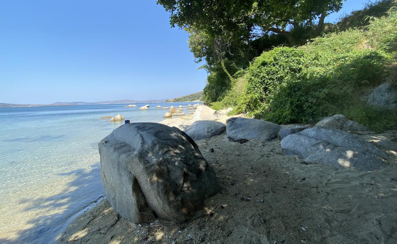 Faruk's Dark beach'in fotoğrafı parlak kum yüzey ile