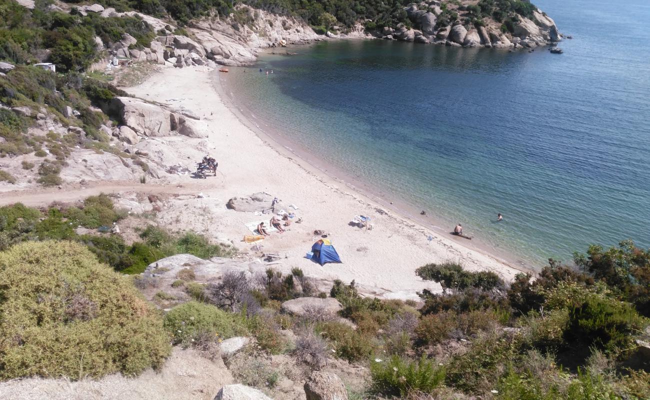 Turanköy Plajı'in fotoğrafı parlak kum yüzey ile