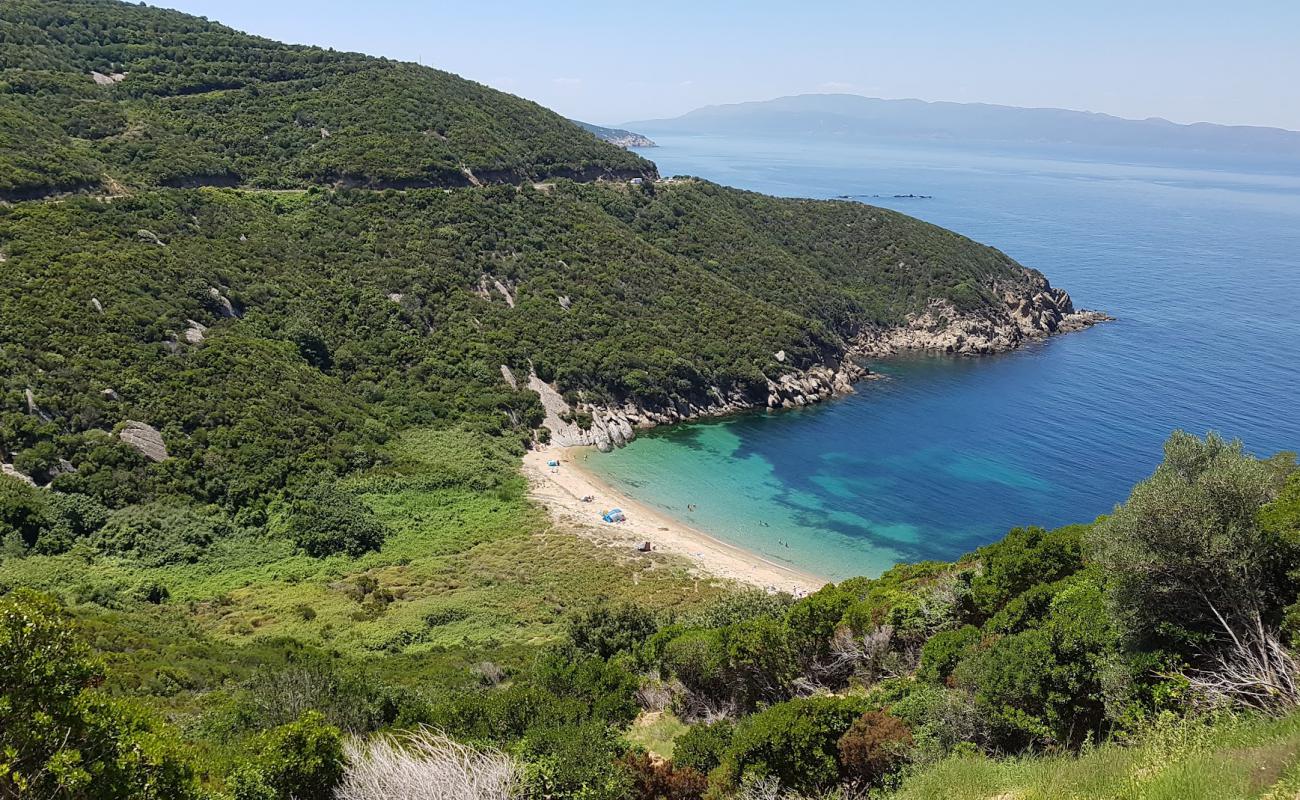 Yolsuz Koy'in fotoğrafı parlak kum yüzey ile