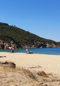 Ormanli