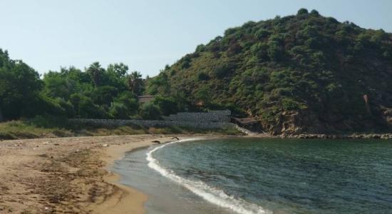 Ballıpınar Plajı II
