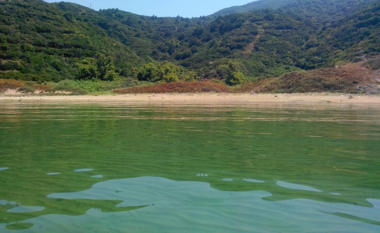 Ballıpınar Plajı IV'in fotoğrafı parlak kum yüzey ile