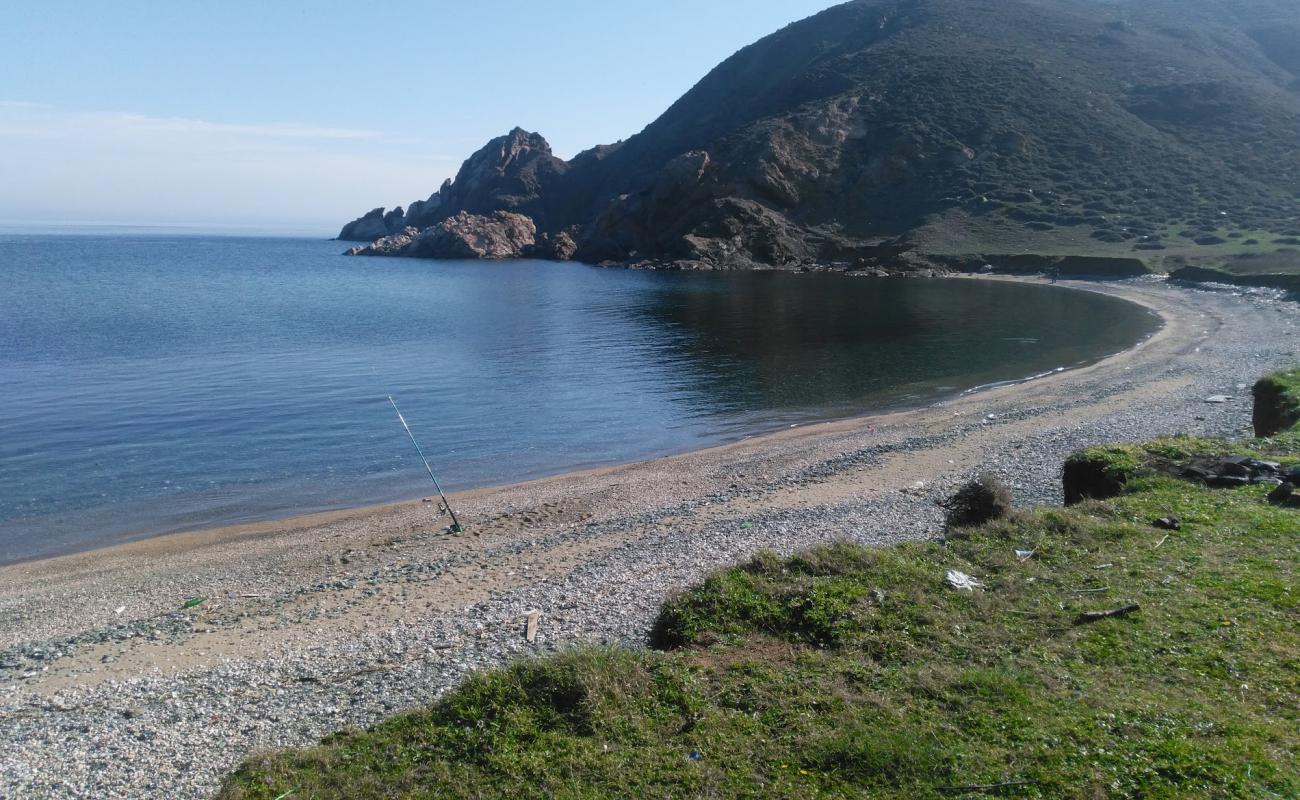 Kalamaki beach'in fotoğrafı gri kum ve çakıl yüzey ile