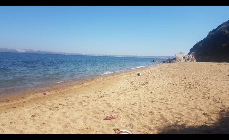 Tanaşa Sahil beach'in fotoğrafı kahverengi kum yüzey ile