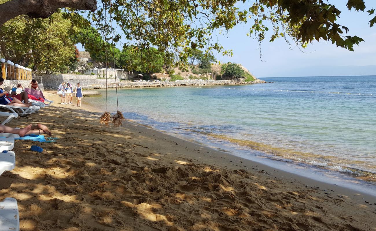 Tatlısu Plajı'in fotoğrafı kahverengi kum yüzey ile