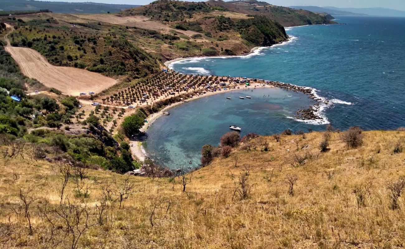 Korsan Liman Koyu'in fotoğrafı küçük gri çakıllar yüzey ile