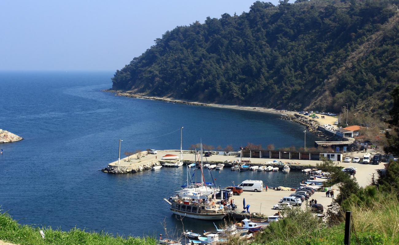 Zeytinbağı Halk Plajı'in fotoğrafı taşlı kum yüzey ile