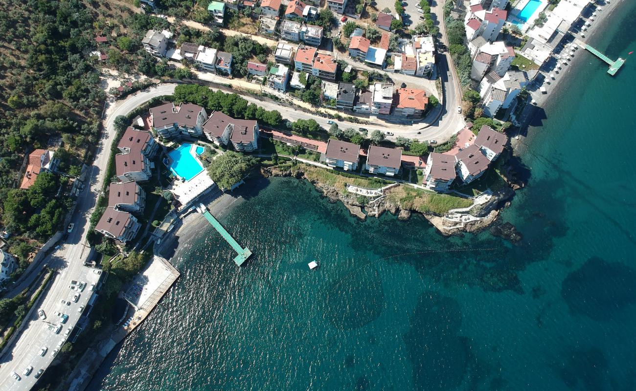 Petek Sitesi beach'in fotoğrafı beton kaplı yüzey yüzey ile