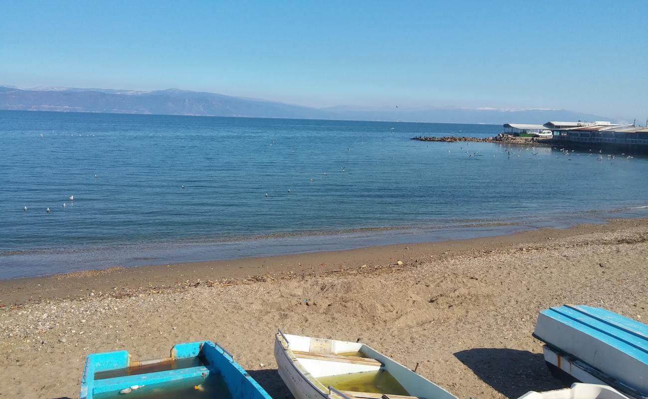 Child Park beach'in fotoğrafı kahverengi kum yüzey ile