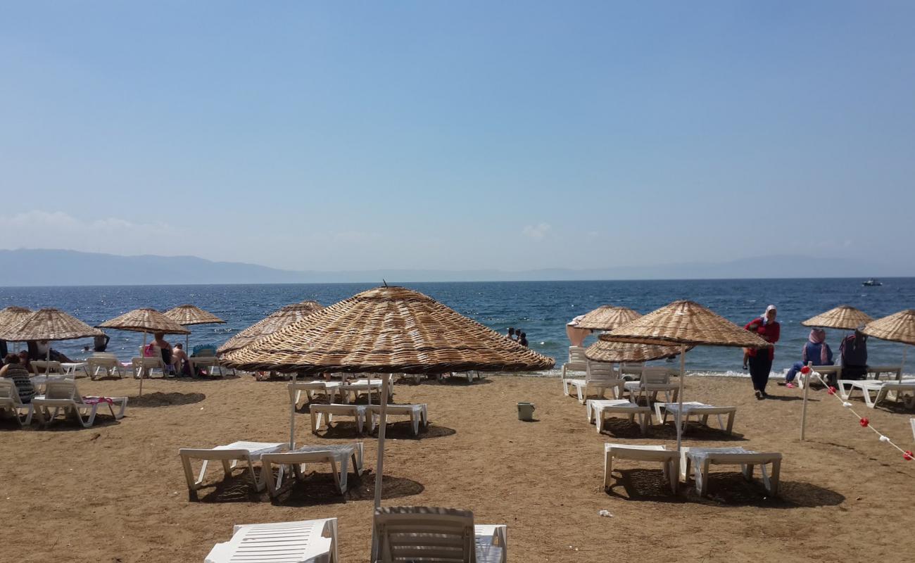 Karacaali Burfaş Plajı'in fotoğrafı kahverengi kum yüzey ile