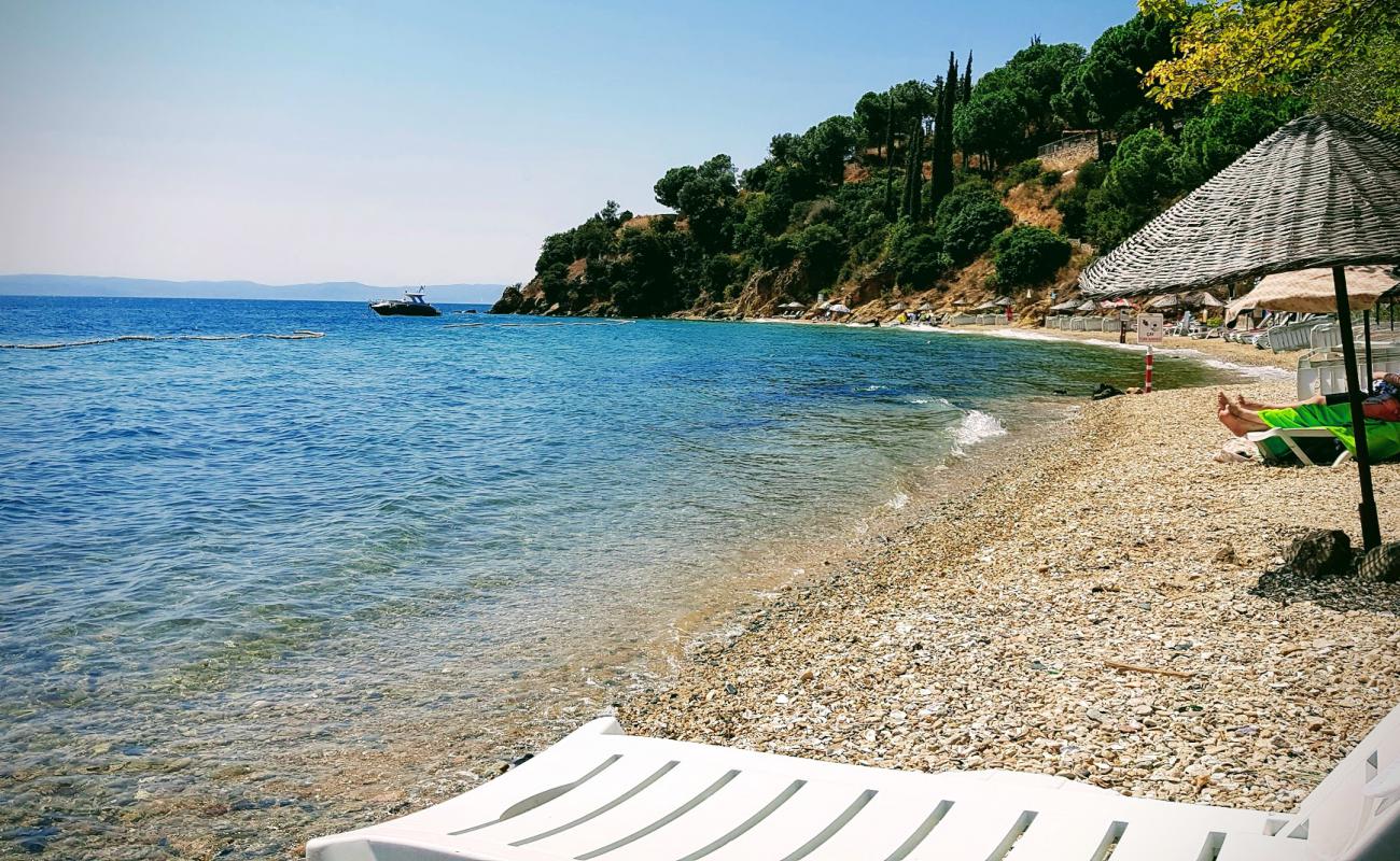 Villa Haziran beach'in fotoğrafı hafif ince çakıl taş yüzey ile