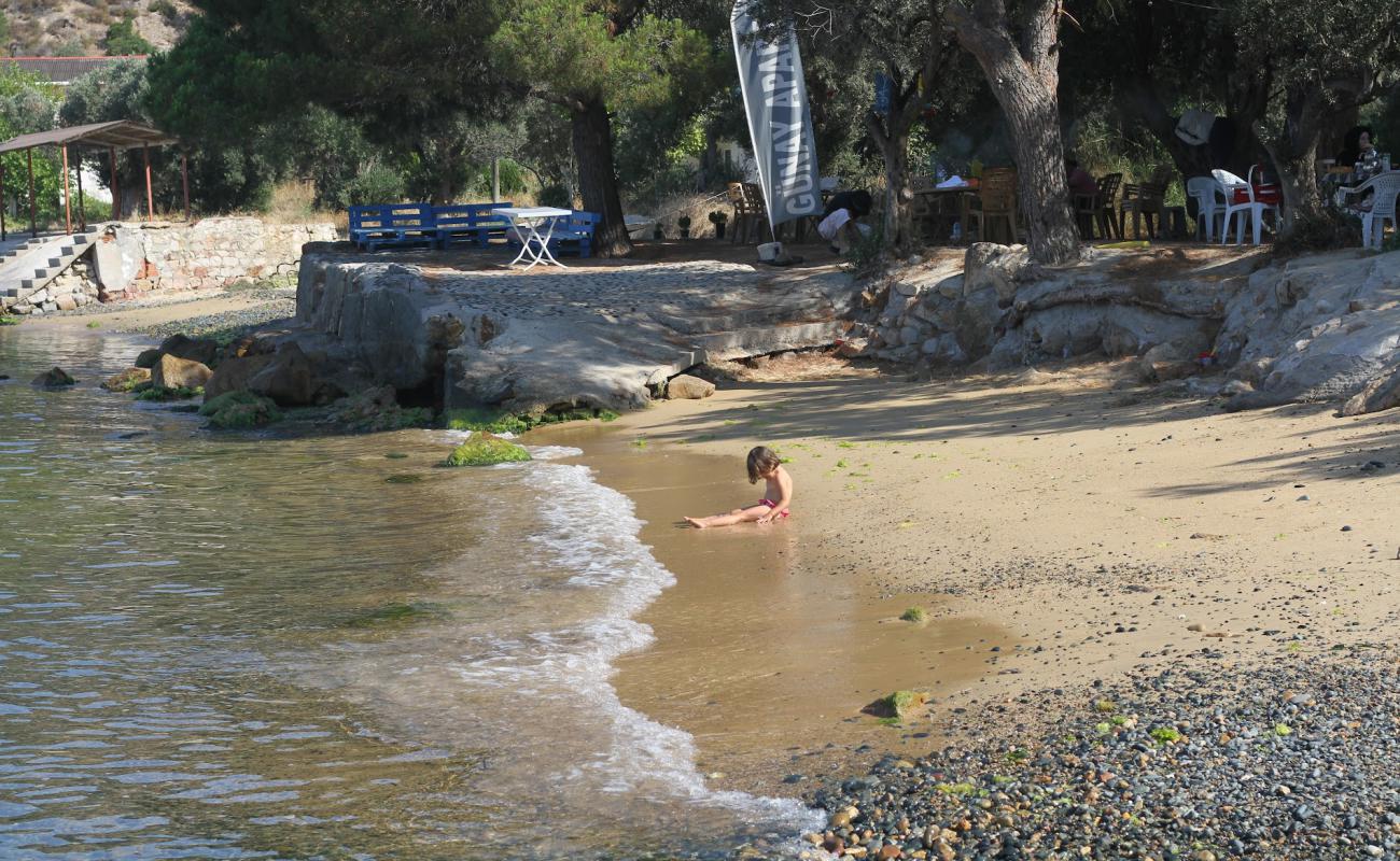 Gunay beach'in fotoğrafı gri kum ve çakıllar yüzey ile