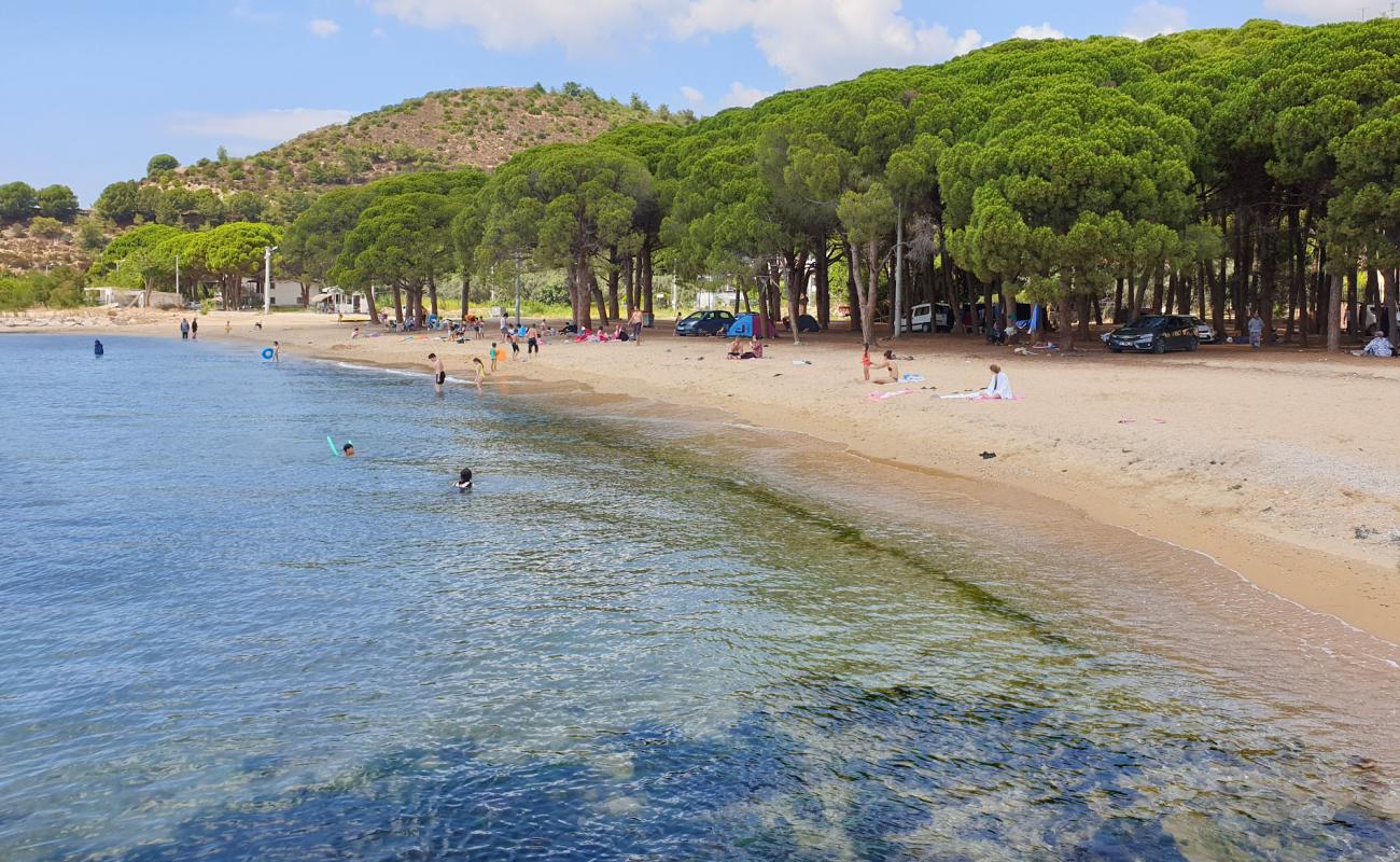 Nur Bayanlar Plajı'in fotoğrafı kahverengi kum yüzey ile