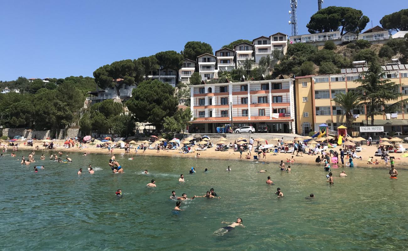 Armutlu Plajı II'in fotoğrafı açık bej kum yüzey ile