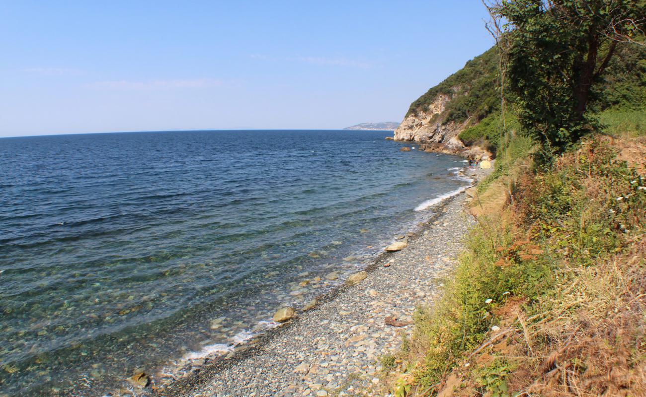 Deniz beach'in fotoğrafı gri çakıl taşı yüzey ile
