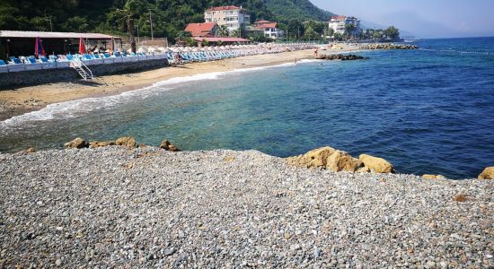 Deniz Yıldızı Plajı