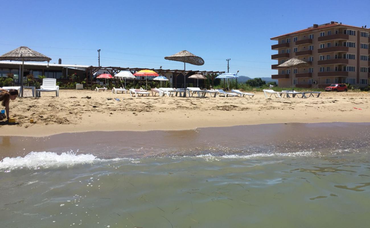 Akraba beach'in fotoğrafı kahverengi kum yüzey ile