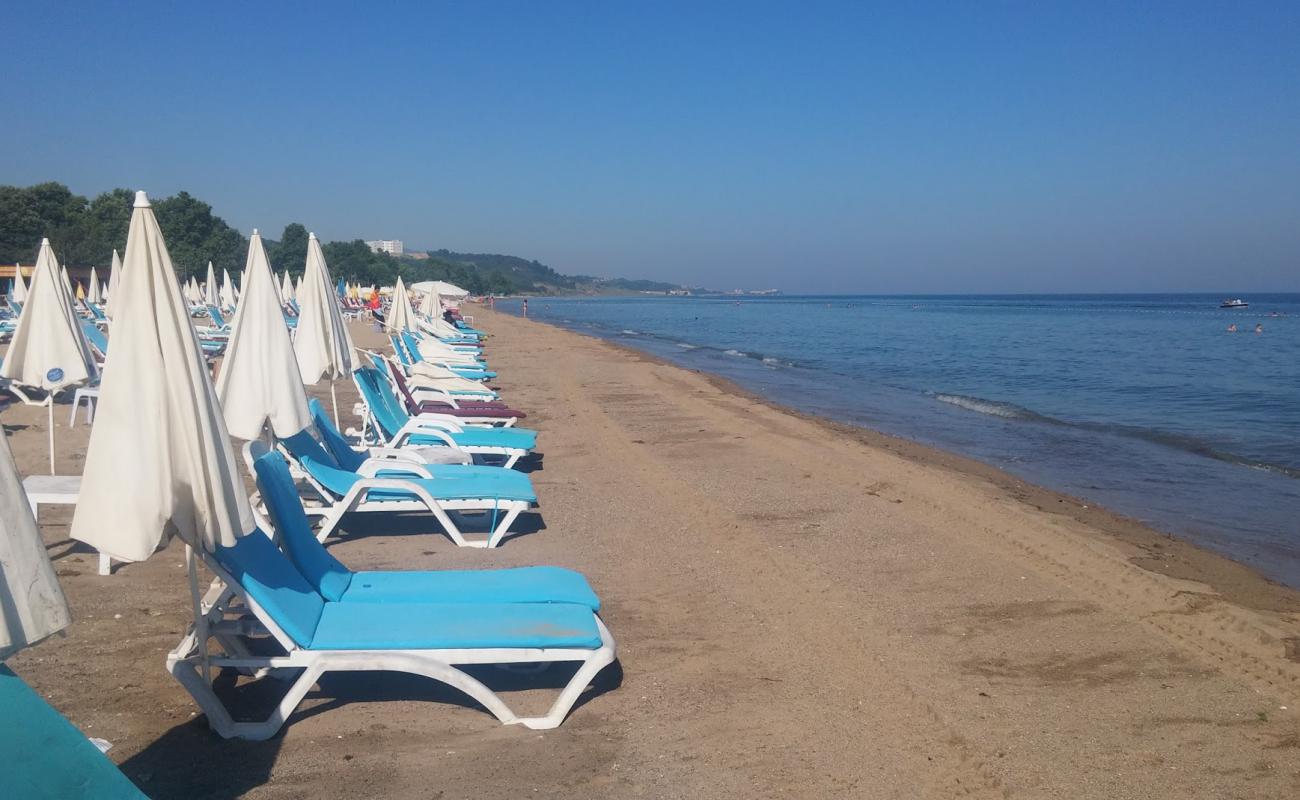 Yalova Plaji'in fotoğrafı kahverengi kum yüzey ile