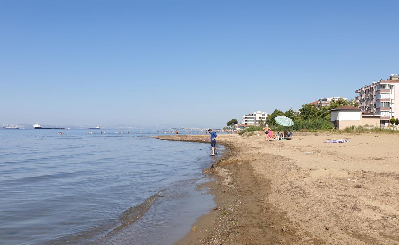 Dejavu beach'in fotoğrafı kahverengi kum yüzey ile