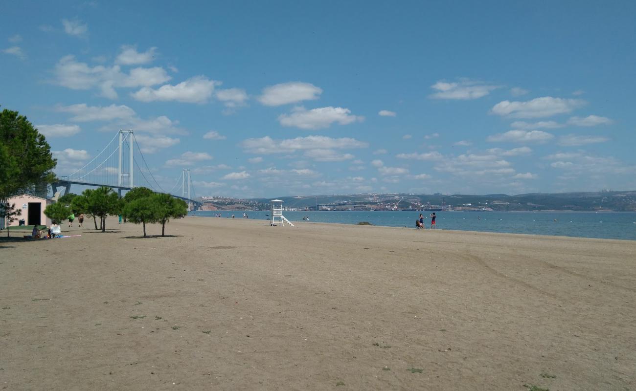 Altınova Hersek Plajı'in fotoğrafı kahverengi kum yüzey ile