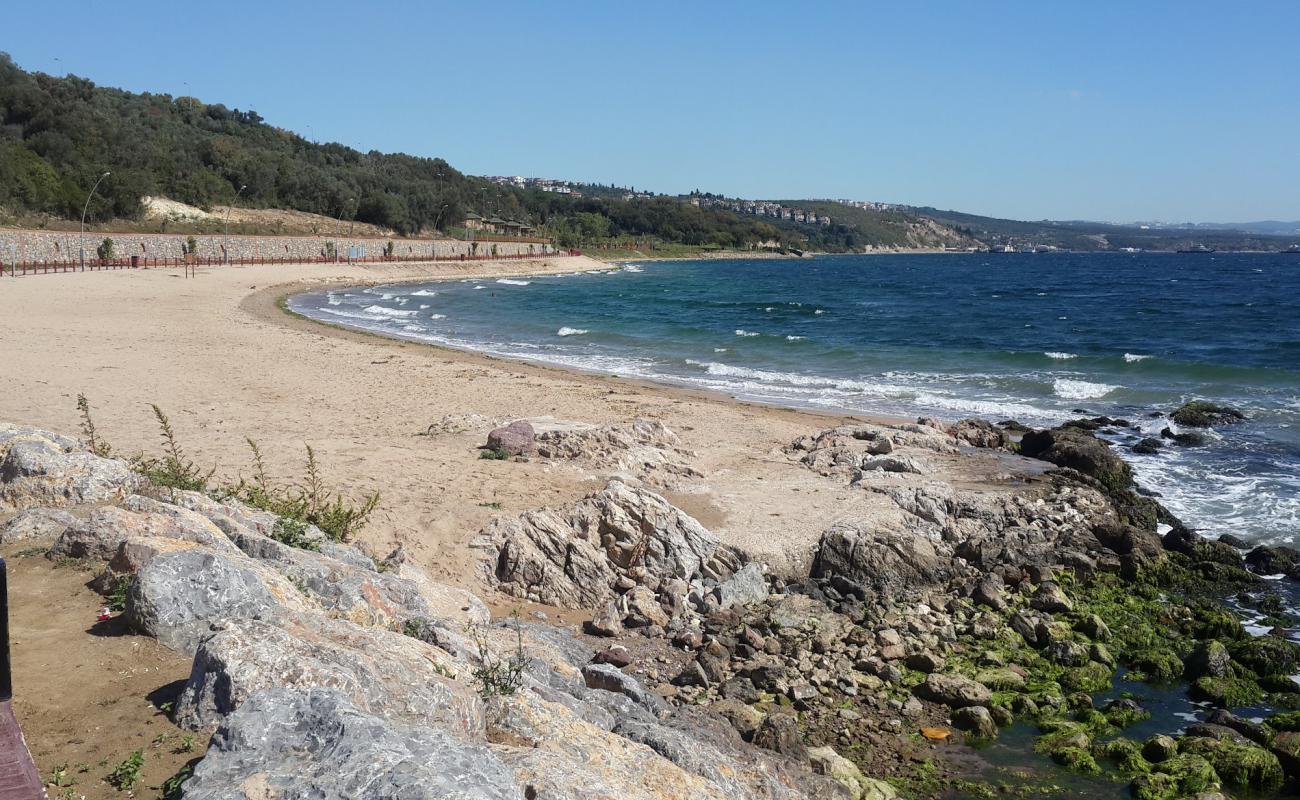 Darıca Plajı'in fotoğrafı kahverengi kum yüzey ile