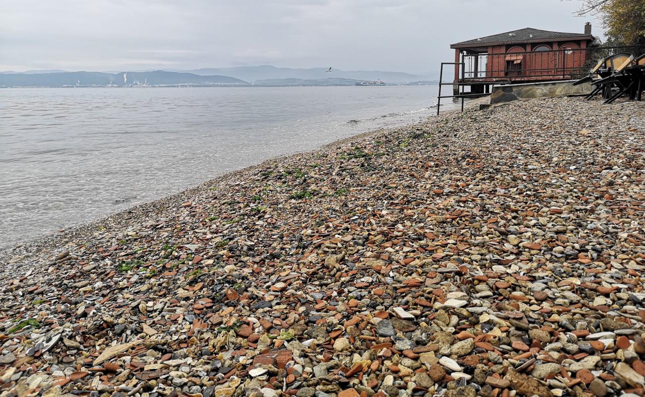 Darıca Plajı II'in fotoğrafı kahverengi çakıl yüzey ile