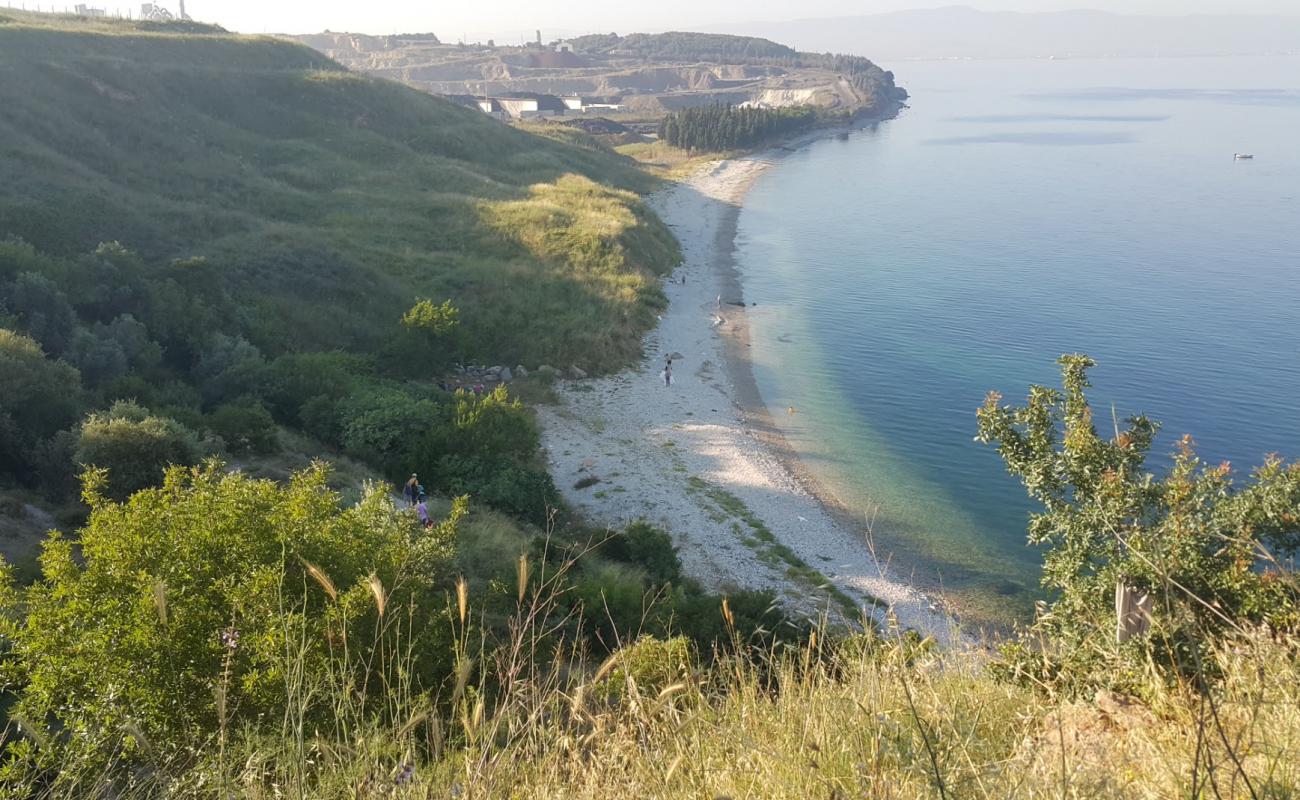 Darıca Plajı III'in fotoğrafı bej çakıl yüzey ile
