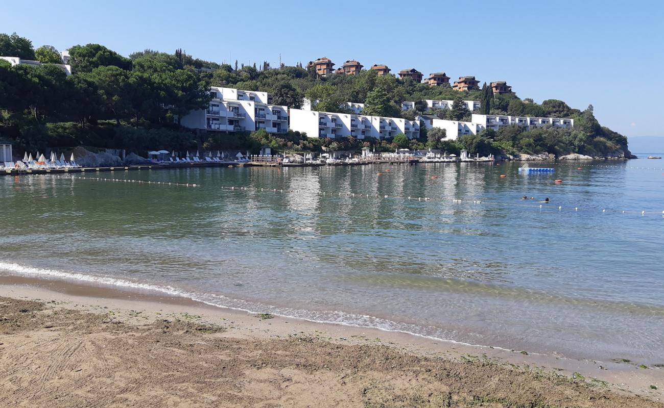 Darıca beach IV'in fotoğrafı kahverengi kum yüzey ile