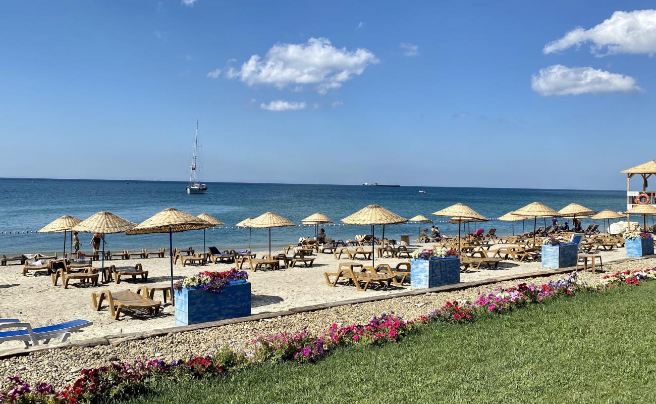 West Istanbul Marina'in fotoğrafı siyah kum ve çakıl yüzey ile