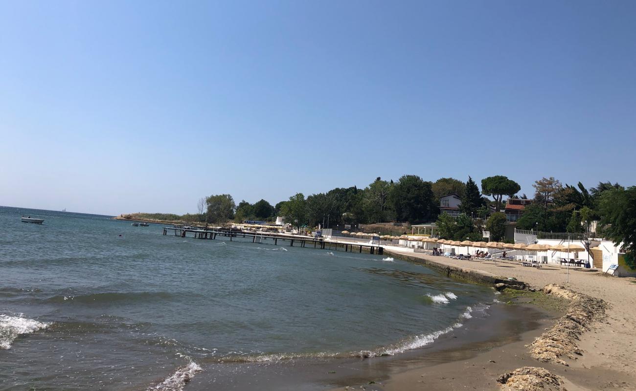 Camcıoglu Plajı'in fotoğrafı beton kaplı yüzey yüzey ile