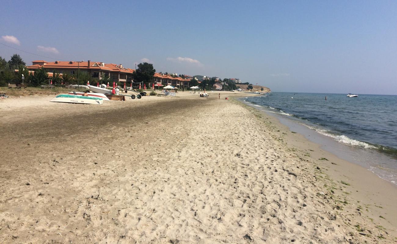 Gumuşyaka beach II'in fotoğrafı kahverengi kum yüzey ile
